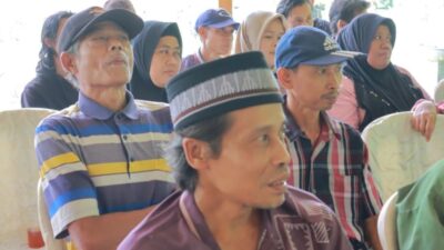 PKM Internasional
