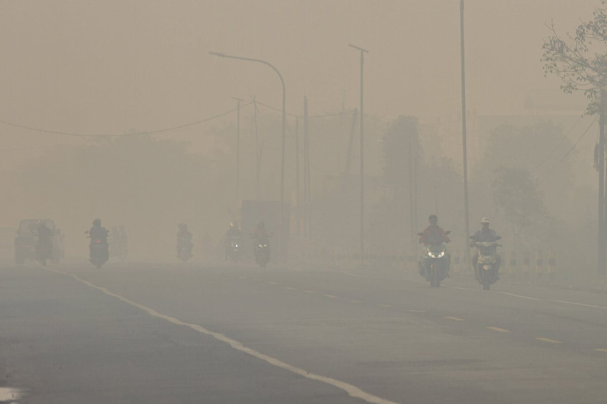 Di Balik Asap Kalimantan, Ada Napas yang Harus Dijaga