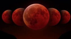 Gerhana Bulan Sebagian Akan Menyapa Akhir Agustus 2026, Ini Jadwal dan Wilayah yang Bisa Melihatnya