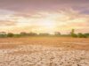 El Niño 2026 Menguat, Bayang-Bayang Rekor Panas Mengintai 2027