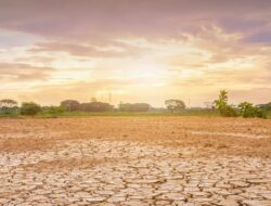 El Niño 2026 Menguat, Bayang-Bayang Rekor Panas Mengintai 2027