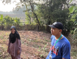 Melalui Kegiatan Berkebun, BSI Explore 2026 Gali Potensi Pertanian dan Ketahanan Pangan Desa Karang Indah