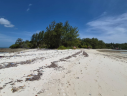Jelajah Tual dan Langgur: Nikmati Keajaiban Pasir Lembut serta Fenomena Pasir Timbul di Kepulauan Kei