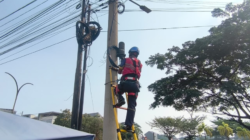 penataan kabel pln icon plus