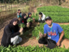 Gali Potensi Pertanian Karang Indah, Tim BSI Explore 2026 Gelar Akses Berkebun Bersama Warga