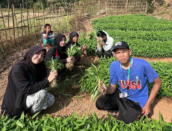 Gali Potensi Pertanian Karang Indah, Tim BSI Explore 2026 Gelar Akses Berkebun Bersama Warga