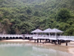 Keajaiban Gugusan Karst Halong Bay dan Catatan Perjalanan Menyusuri Lautan Vietnam Utara