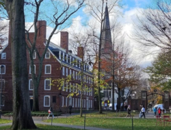 Denyut Intelektual Harvard dan Kehangatan Tradisi Literasi Sebelum Amerika Lahir
