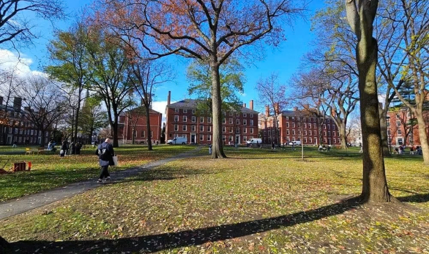 harvard yard