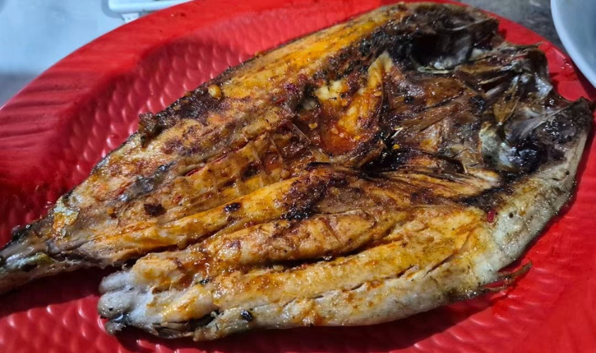 ikan laut