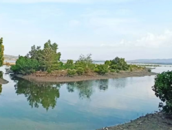 Pesona Kendari Dari Eksotisme Hutan Bakau Hingga Kelezatan Sinonggi