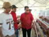 Bantuan Ayam Petelur Harus Menjadi Pemantik Kemandirian