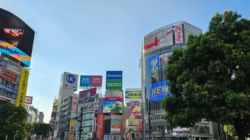 Keriuhan Shibuya Crossing dan Keheningan Janji Hachiko di Pusat Tokyo
