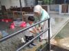 Sekolah Bosowa Bina Insani Laksanakan Obsevasi Calon Peserta Didik Tahun Ajaran 2027/2028 untuk Jenjang KB-TK dan SD 