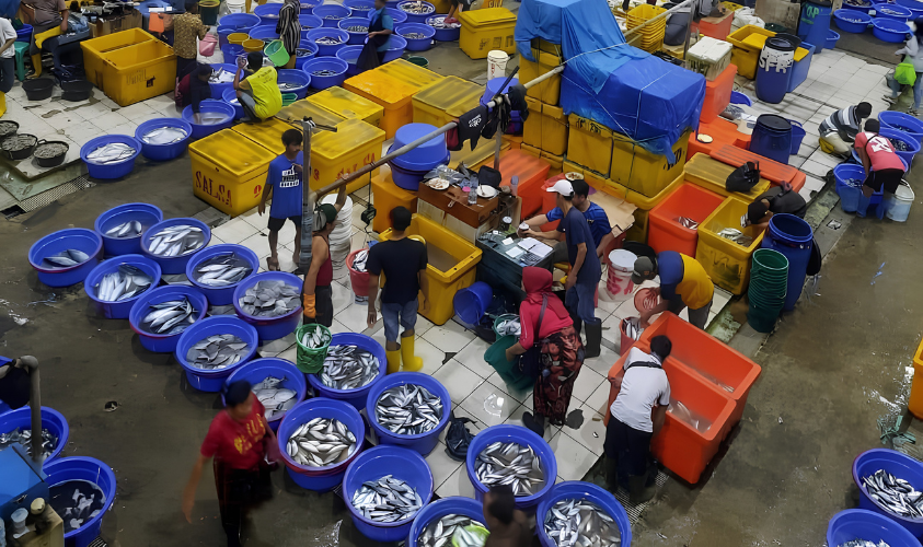 pasar ikan