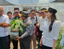 8.000 Satlinmas se-Jawa Tengah Padati Stadion Pandanaran Wujil, ASLINMAS dan ABPEDNAS Perkuat Konsolidasi Organisasi